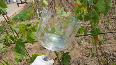 Manipuler les bols chantants en cristal transparent avec un sac