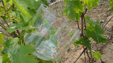 Bol chantant bouddhiste en cristal pur