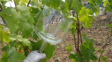 Bol chantant bouddhiste en cristal pur