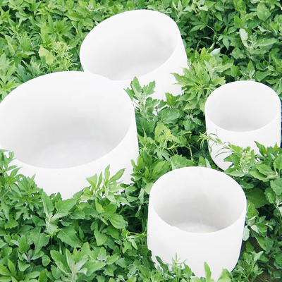Bol chantant pour la sonothérapie fabriqué en quartz de haute pureté en Chine pour la fête des mères